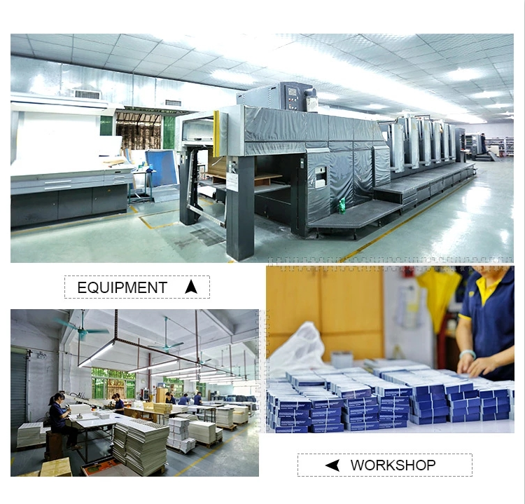  Detai Printing & Packaging Co., Ltd,